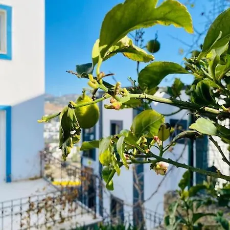 Deniz Manzarali Tripleks Tas * Bodrum
